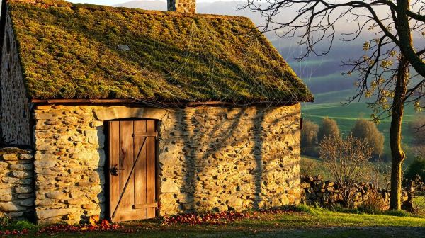 Protégez votre maison en Eure-et-Loir contre la mérule